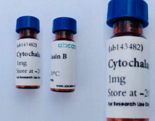 ماده cytochalasin B