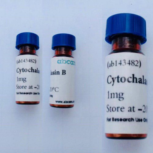 ماده cytochalasin B