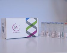 Mehrviru HPV Genotyping Kit
