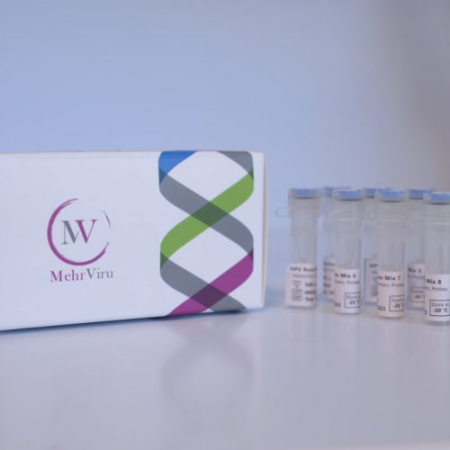 Mehrviru HPV Genotyping Kit