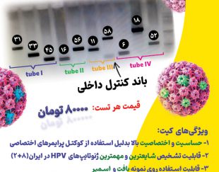 کیت تشخیص غربالگری و ژنوتایپینگ HPV